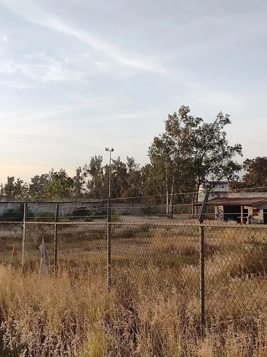 Foto 9 de Terreno en Venta con uso de suelo mixto, en Av. Adolf Horn, Tlajomulco de Zúñiga