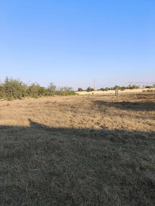 Foto 4 de TERRENO EJIDAL EN LA CALERILLA