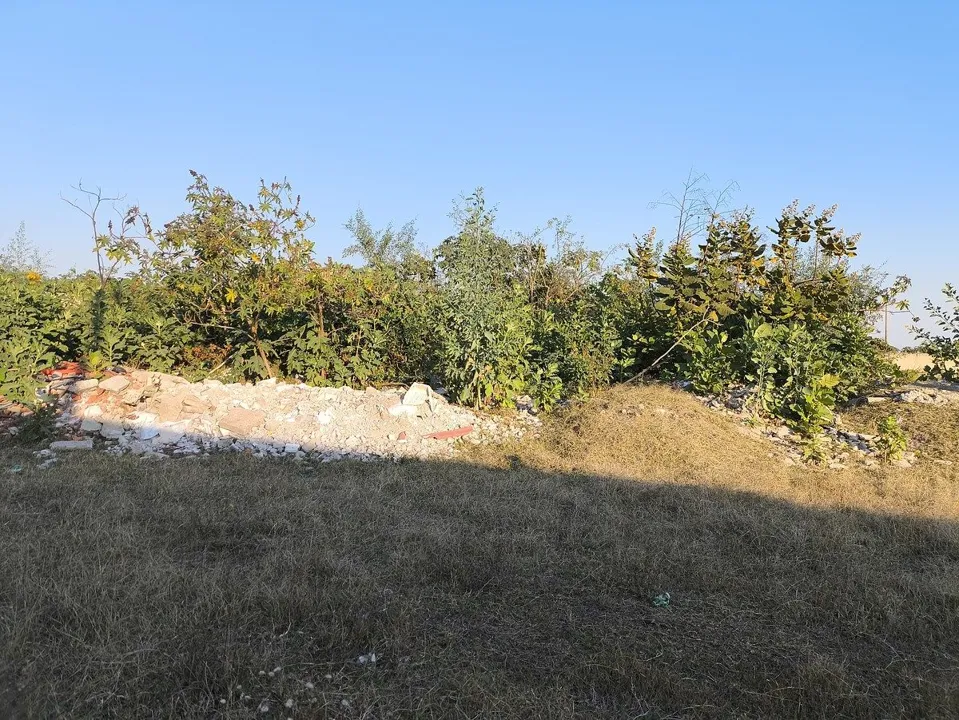 Foto 6 de TERRENO EJIDAL EN LA CALERILLA