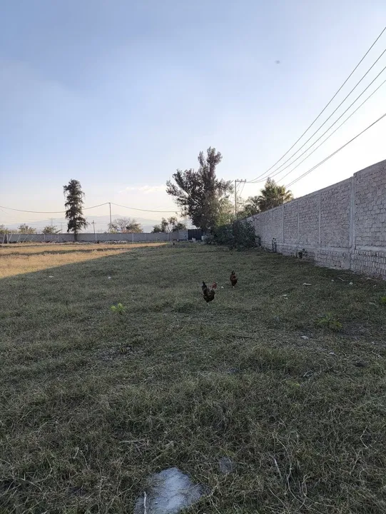 Foto 8 de TERRENO EJIDAL EN LA CALERILLA