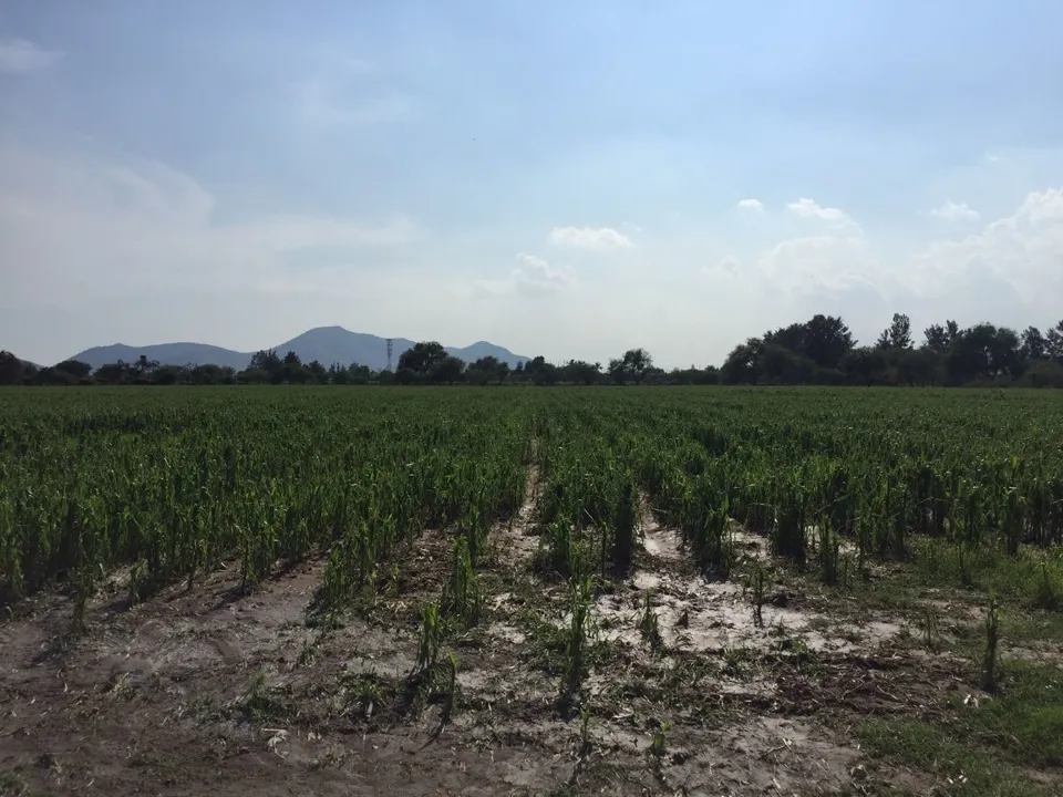 TERRENO EN VENTA EN CONCEPCIÓN DEL VALLE TLAJOMULCO "LA CONCHA"