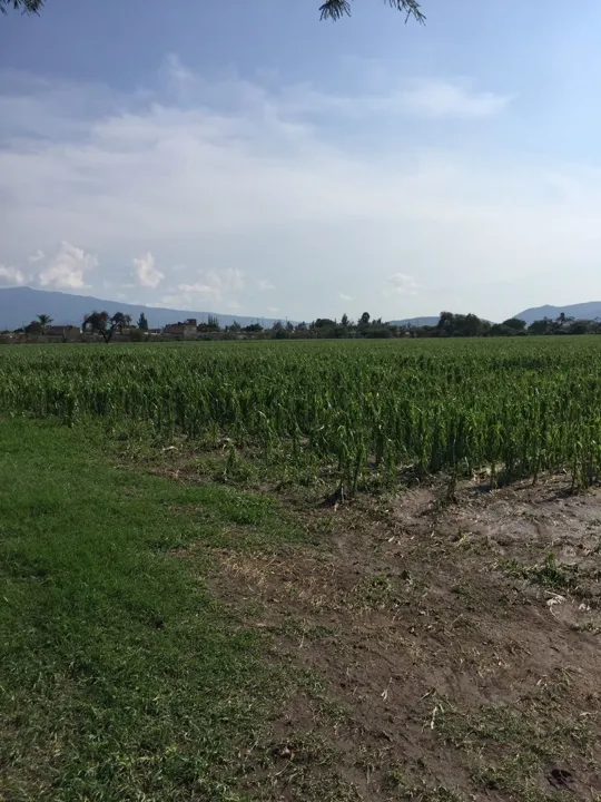 Foto 3 de TERRENO EN VENTA EN CONCEPCIÓN DEL VALLE TLAJOMULCO "LA CONCHA"
