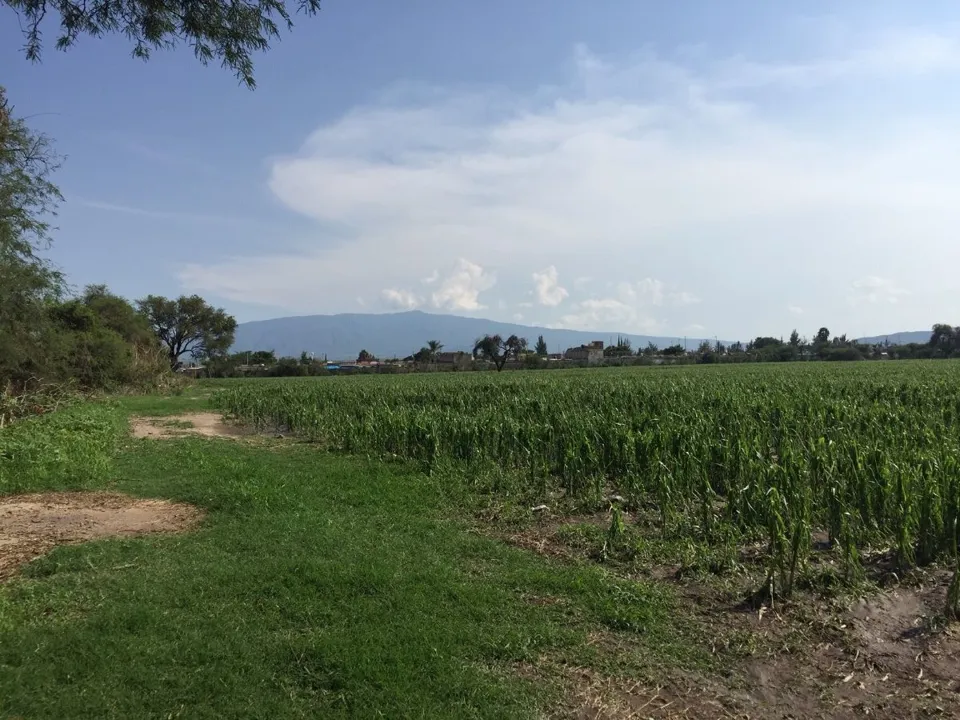 Foto 4 de TERRENO EN VENTA EN CONCEPCIÓN DEL VALLE TLAJOMULCO "LA CONCHA"