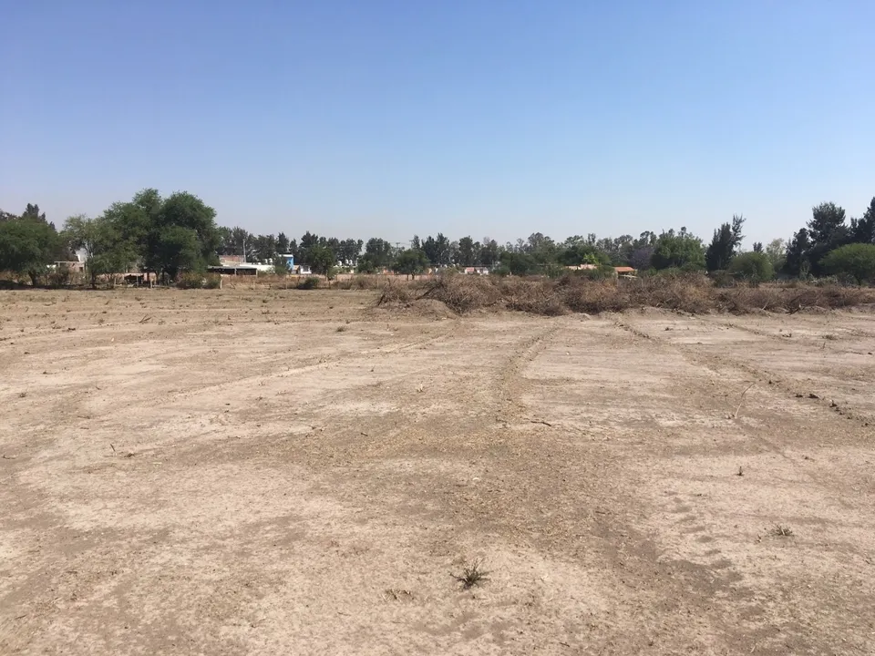 Foto 8 de TERRENO EN VENTA EN CONCEPCIÓN DEL VALLE TLAJOMULCO "LA CONCHA"