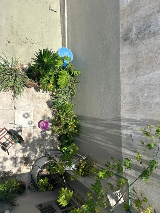 Foto 4 de Hermosa Casa en Renta uso comercial  Colonia Americana