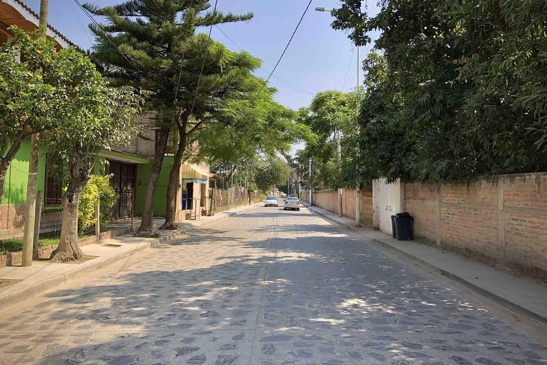 Foto 3 de Terreno en venta, Coyula Tonala, Jalisco.