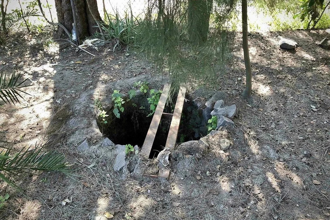 Foto 8 de Terreno en venta, Coyula Tonala, Jalisco.
