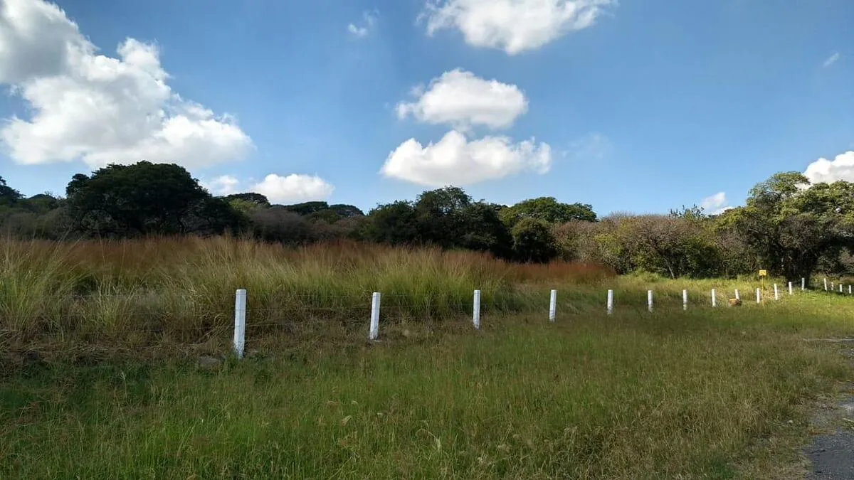 TERRENO EN VENTA CARRETEREA ZAPOTLANEJO PREDIO RUSTICO MISMALOYA