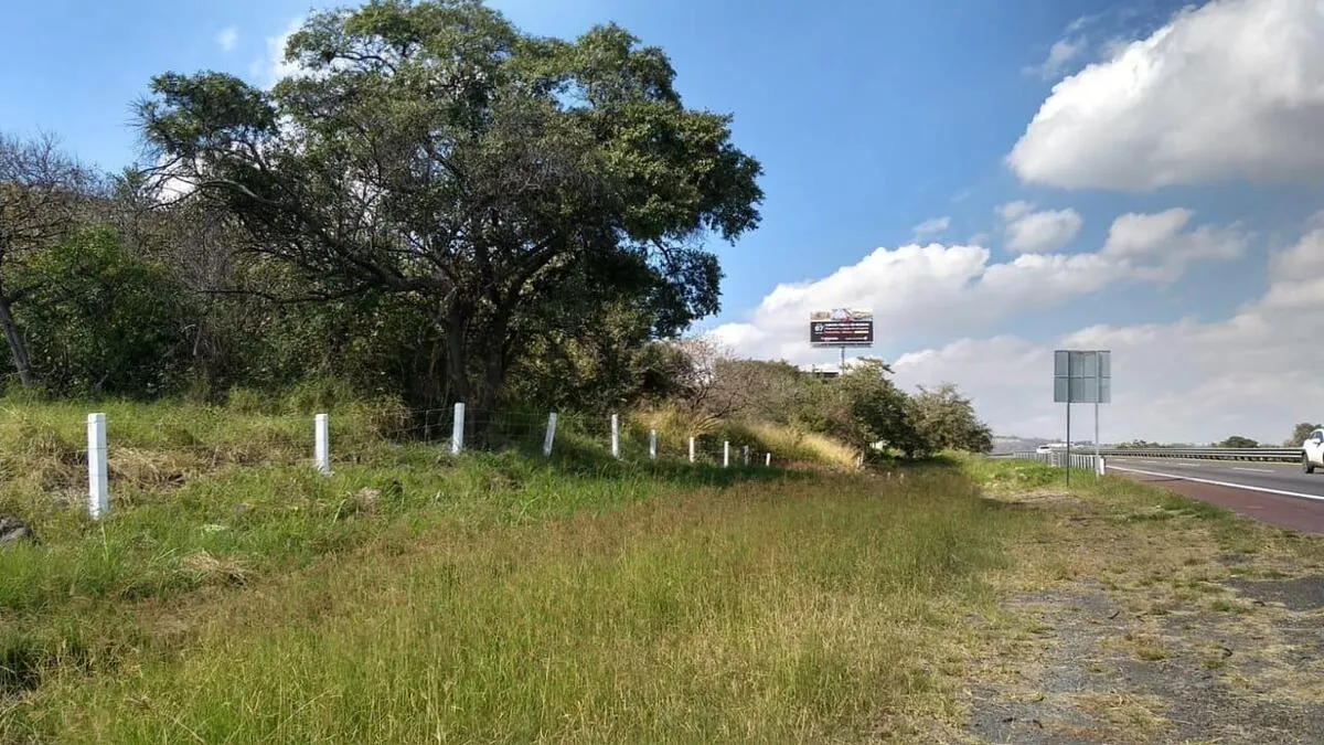 Foto 4 de TERRENO EN VENTA CARRETEREA ZAPOTLANEJO PREDIO RUSTICO MISMALOYA