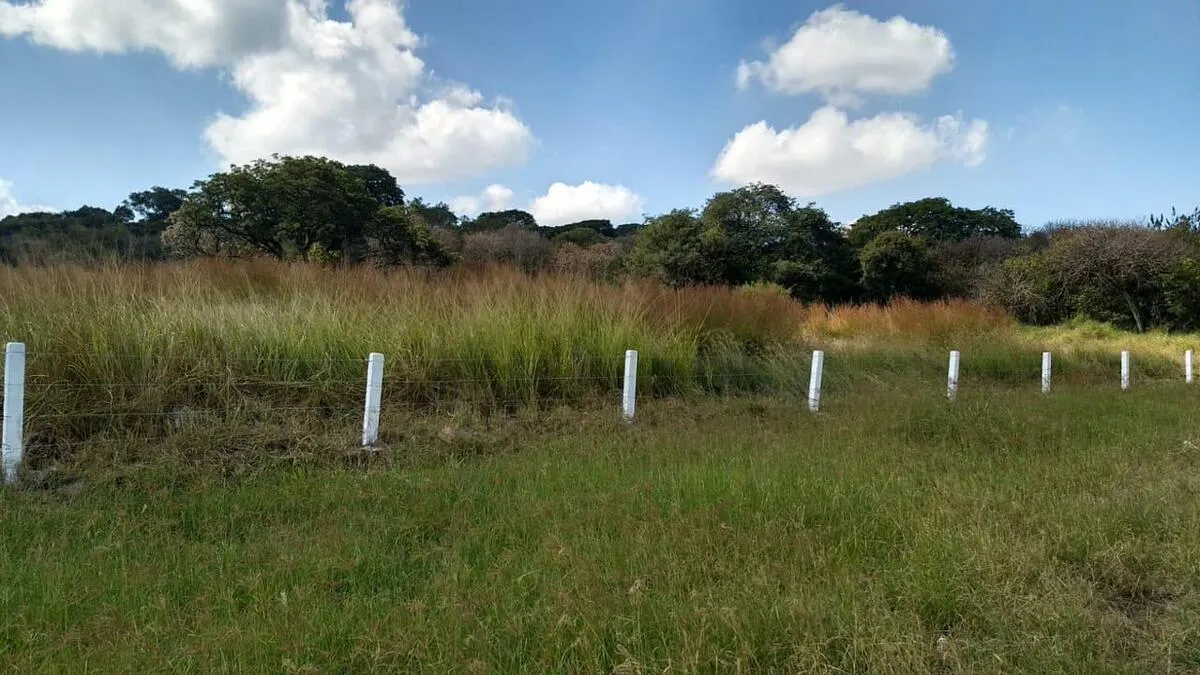 Foto 5 de TERRENO EN VENTA CARRETEREA ZAPOTLANEJO PREDIO RUSTICO MISMALOYA