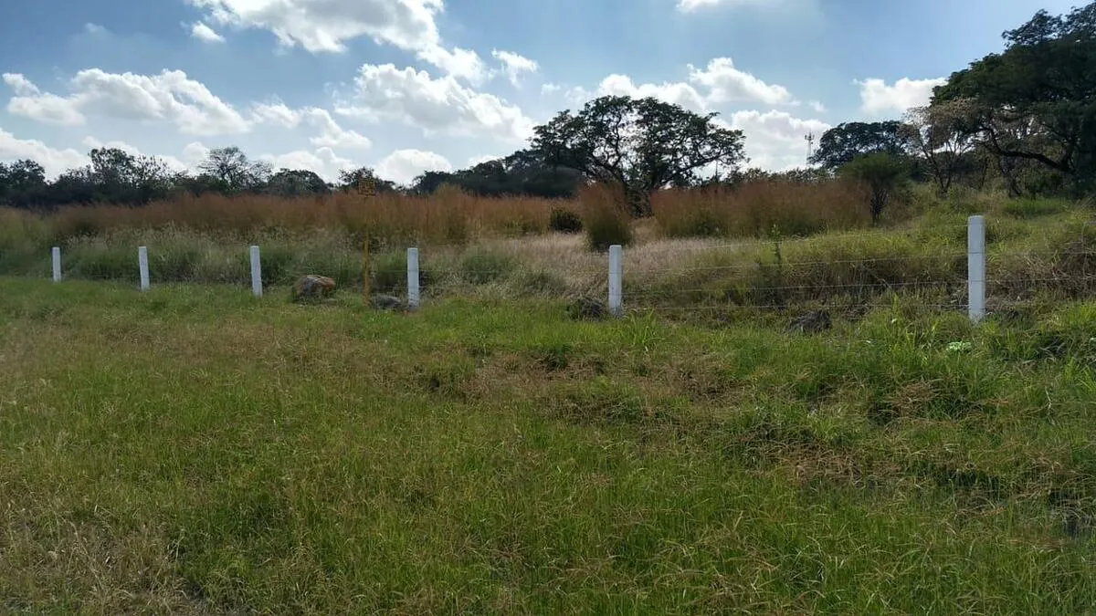Foto 6 de TERRENO EN VENTA CARRETEREA ZAPOTLANEJO PREDIO RUSTICO MISMALOYA