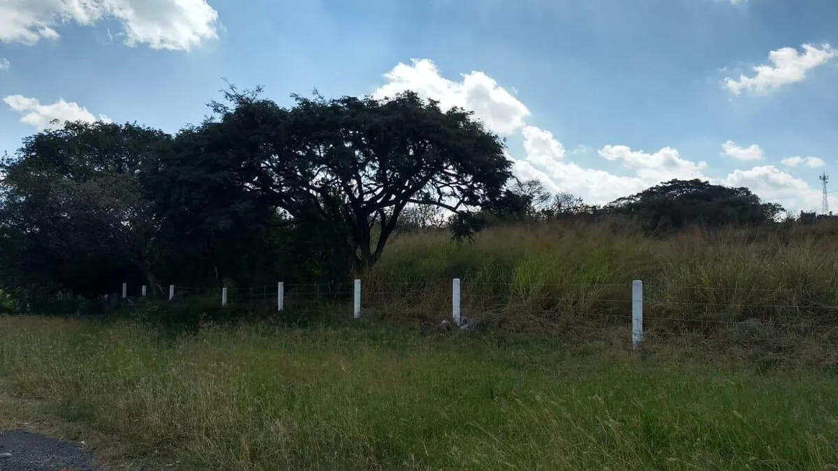 Foto 8 de TERRENO EN VENTA CARRETEREA ZAPOTLANEJO PREDIO RUSTICO MISMALOYA