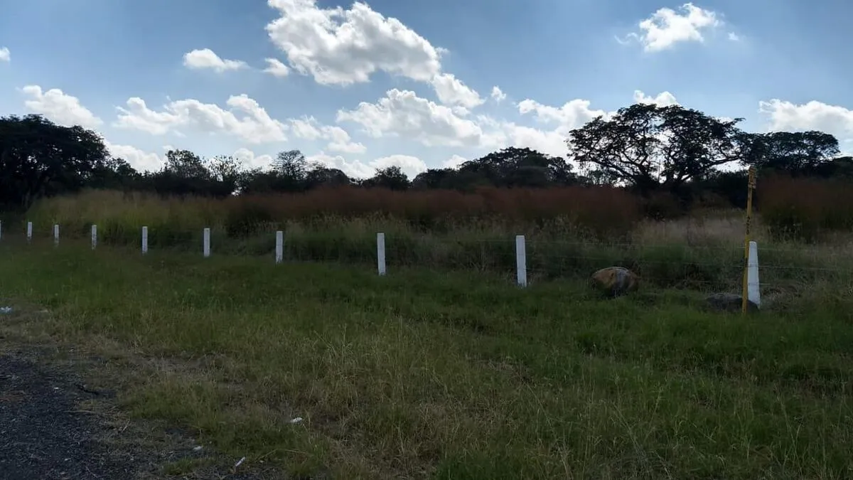 Foto 9 de TERRENO EN VENTA CARRETEREA ZAPOTLANEJO PREDIO RUSTICO MISMALOYA