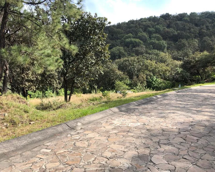 Foto 6 de TERRENO EN VENTA FRACC. DIANA NATURA K3