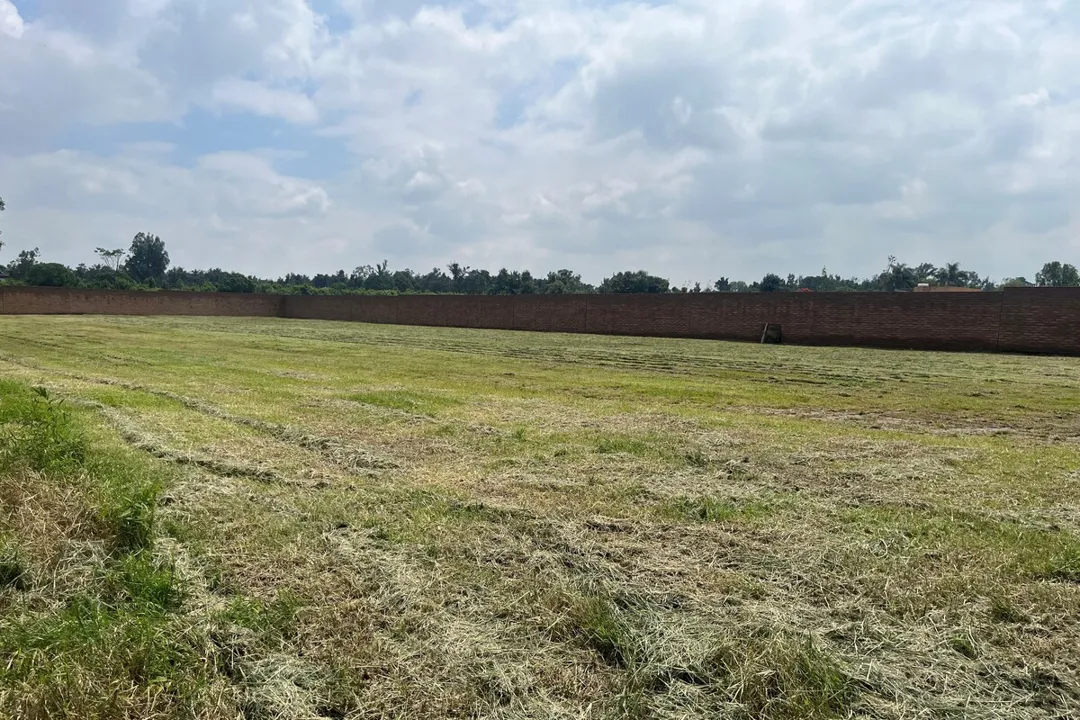 Foto 4 de TERRENO EN VENTA EN FRACC. SAN ACASIO