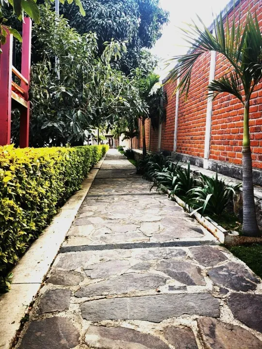 Foto 6 de Casa de campo en Venta en Cajititlán
