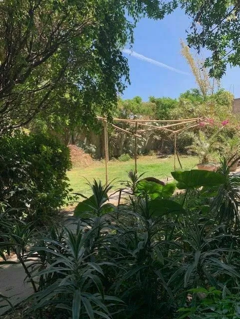 Terreno en Venta , Ideal para construir torre de departamentos, Col. Cd. Granja