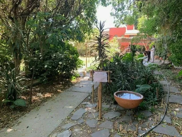 Foto 3 de Terreno en Venta , Ideal para construir torre de departamentos, Col. Cd. Granja
