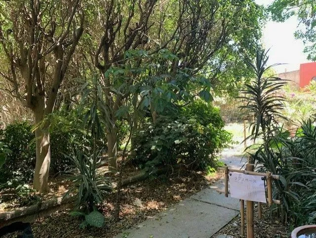Foto 4 de Terreno en Venta , Ideal para construir torre de departamentos, Col. Cd. Granja