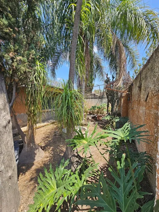 Foto 5 de Propiedad en Venta en Agua Blanca Industrial - Victoria Huerta 10
