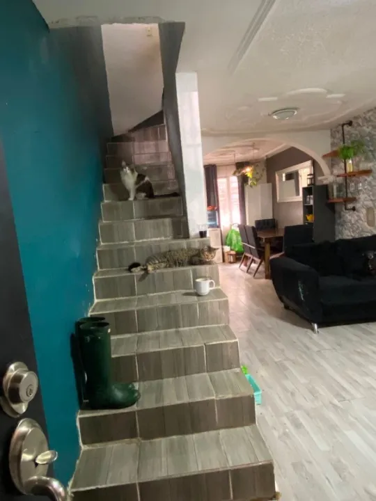 Foto 7 de Casa en venta en Isla Malden, Jardines del Sur, Guadalajara