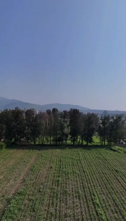 Foto 5 de TERRENO IDEAL PARA DESARROLLO HABITACIONAL AL SUR DE GUADALAJARA