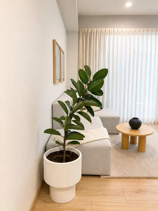 Foto 3 de Departamento en Venta en Meridiano 103 ciudad granja Zapopan
