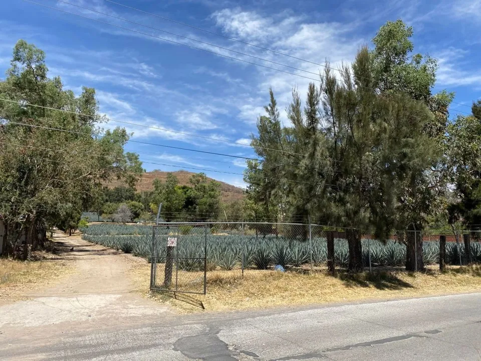 Foto 2 de Rancho La arboleda