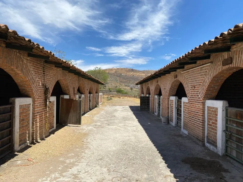 Foto 5 de Rancho La arboleda