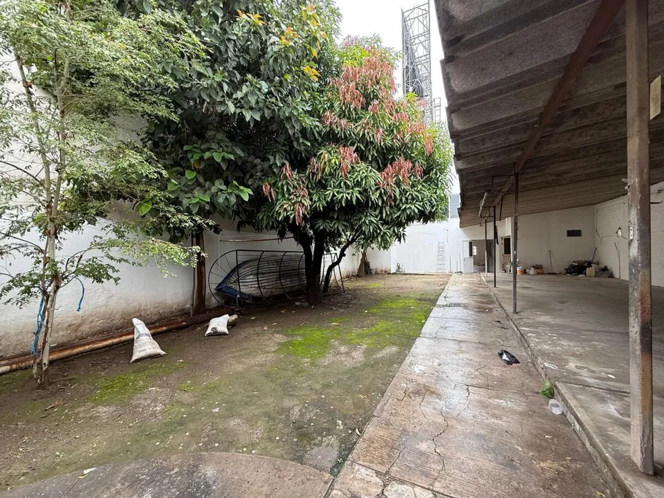 Foto 5 de Local Comercial sobre Av. Patria – Renta Ideal para Oficinas o Punto de Venta