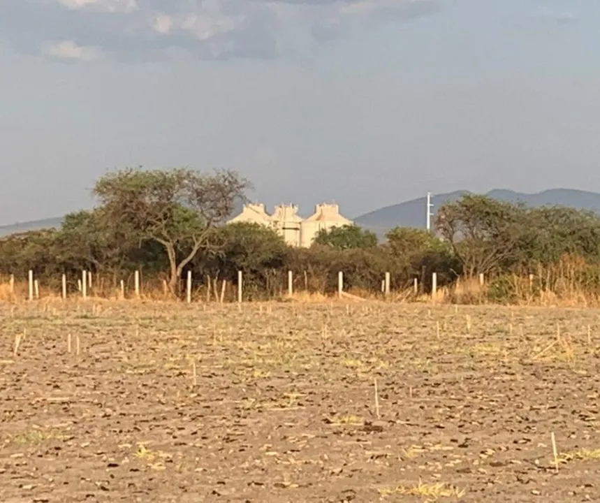 Foto 9 de Terreno en Venta en Zona Aeropuerto de Guadalajara Jalisco, México