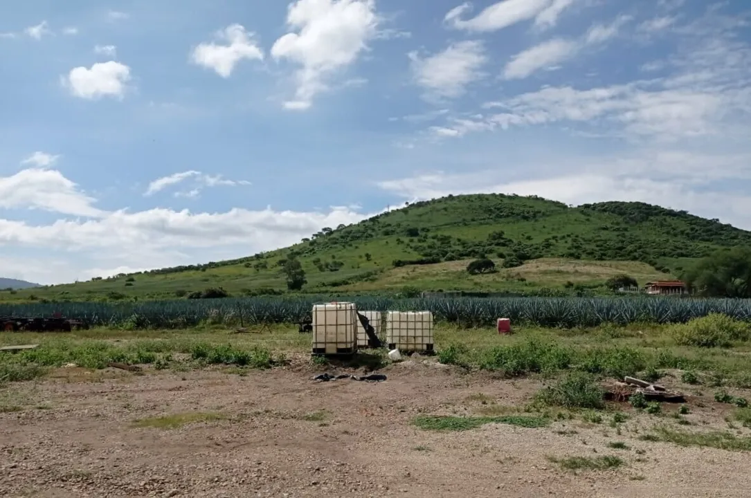 Foto 4 de Terreno en Venta en Circuito Metropolitano Sur - San Martin de las Flores
