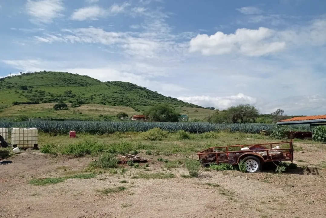 Foto 5 de Terreno en Venta en Circuito Metropolitano Sur - San Martin de las Flores