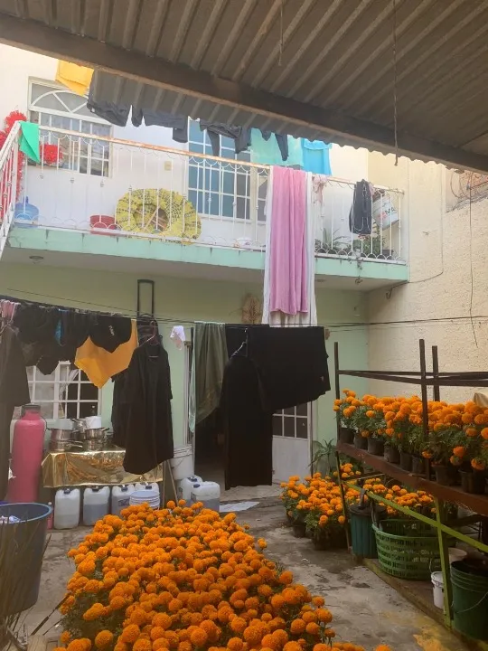 Foto 4 de Casa en venta en Industria, Bosques de Tonalá, Tonalá