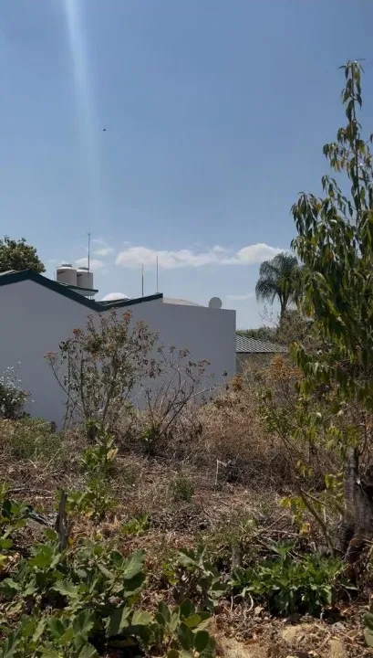 Foto 3 de Terreno en venta en P DEL RENO , BUGAMBILIAS, TLAJOMULCO