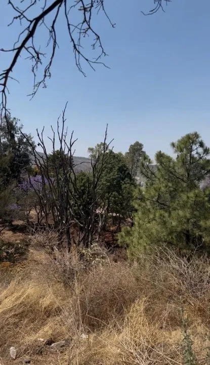 Foto 4 de Terreno en venta en P DEL RENO , BUGAMBILIAS, TLAJOMULCO