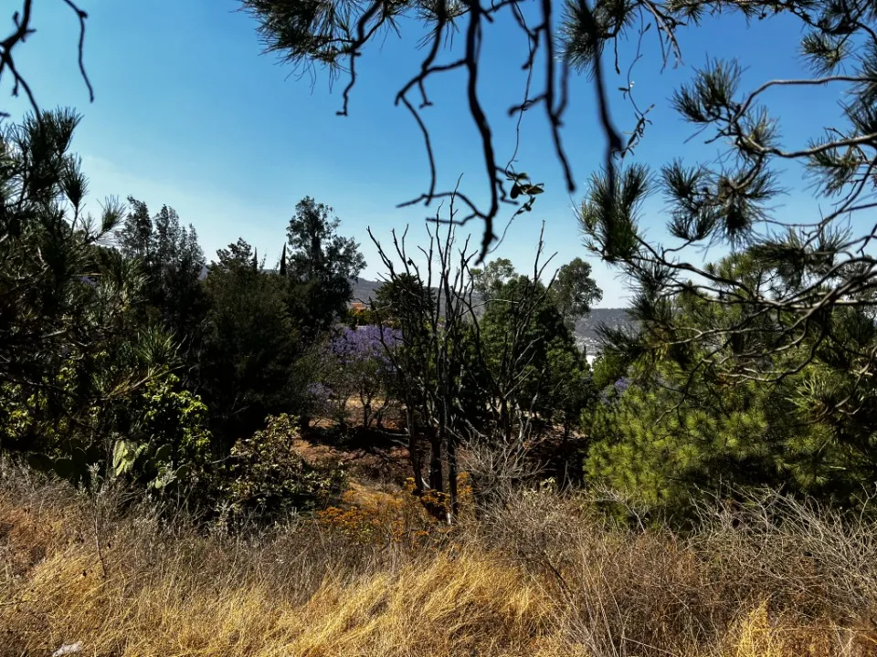 Foto 8 de Terreno en venta en P DEL RENO , BUGAMBILIAS, TLAJOMULCO