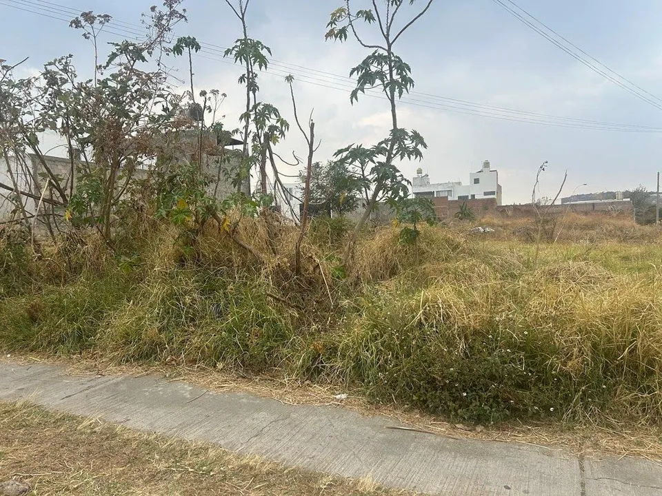 Foto 9 de Terreno en Cañadas Tonalá
