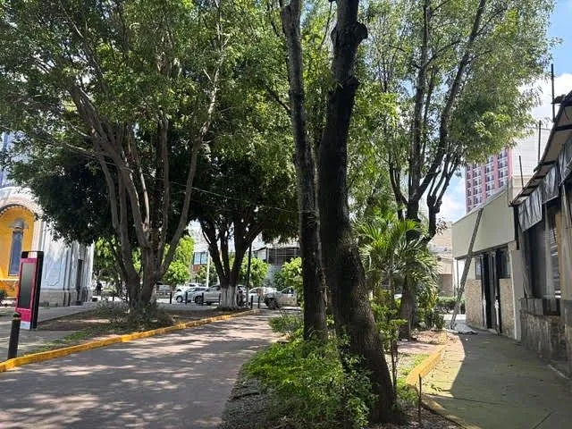 Oficina en Renta en Lafayette, Guadalajara