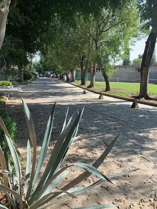 Foto 8 de Terreno en Venta en Valle Real, Club Ecuestre Zapopan, Jalisco.