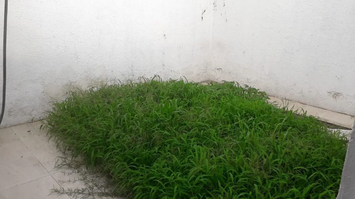 Foto 6 de Casa en venta en Las Águilas, Zapopan