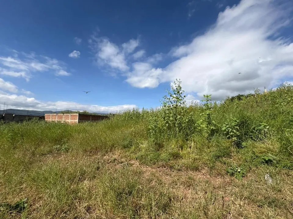 Foto 7 de Terreno en venta en CAJITITLÁN (Ejidal)