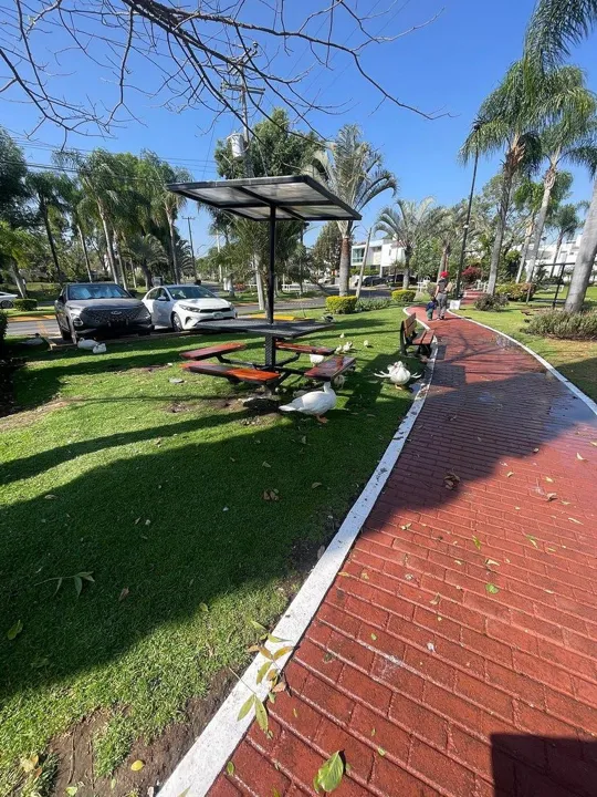 Foto 8 de Terreno en Venta en Fraccionamiento Casa Fuerte - Casa Fuerte 240