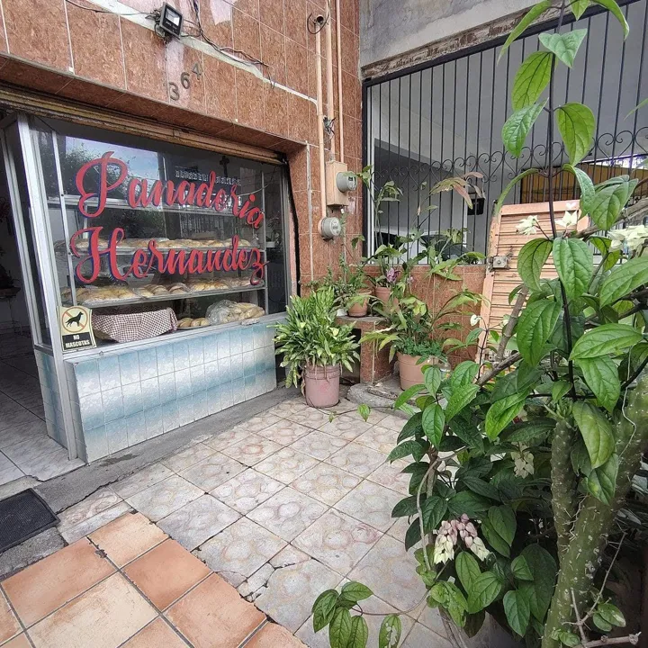 Foto 2 de Casa en Venta en Santa Margarita - Santa Esther 364