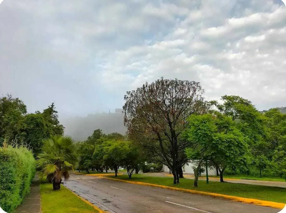 Foto 3 de Terreno en Venta en El Palomar