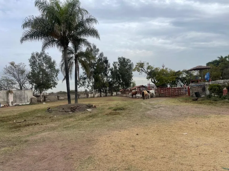 Foto 7 de VENTA DE SALON DE EVENTOS CON CORTIJO EN SANTA CRUZ DEL VALLE, TLAJOMULCO, JAL.