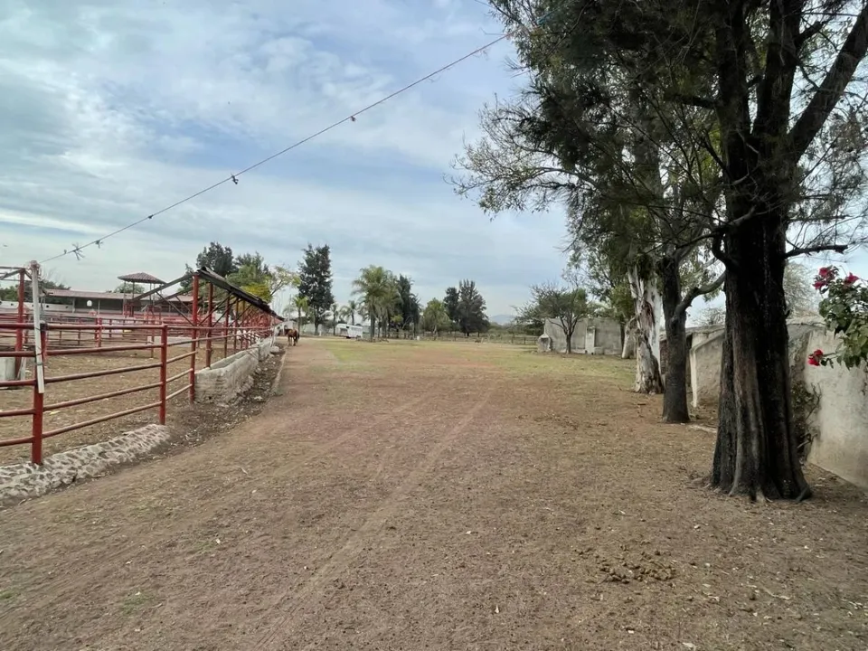 Foto 9 de VENTA DE SALON DE EVENTOS CON CORTIJO EN SANTA CRUZ DEL VALLE, TLAJOMULCO, JAL.