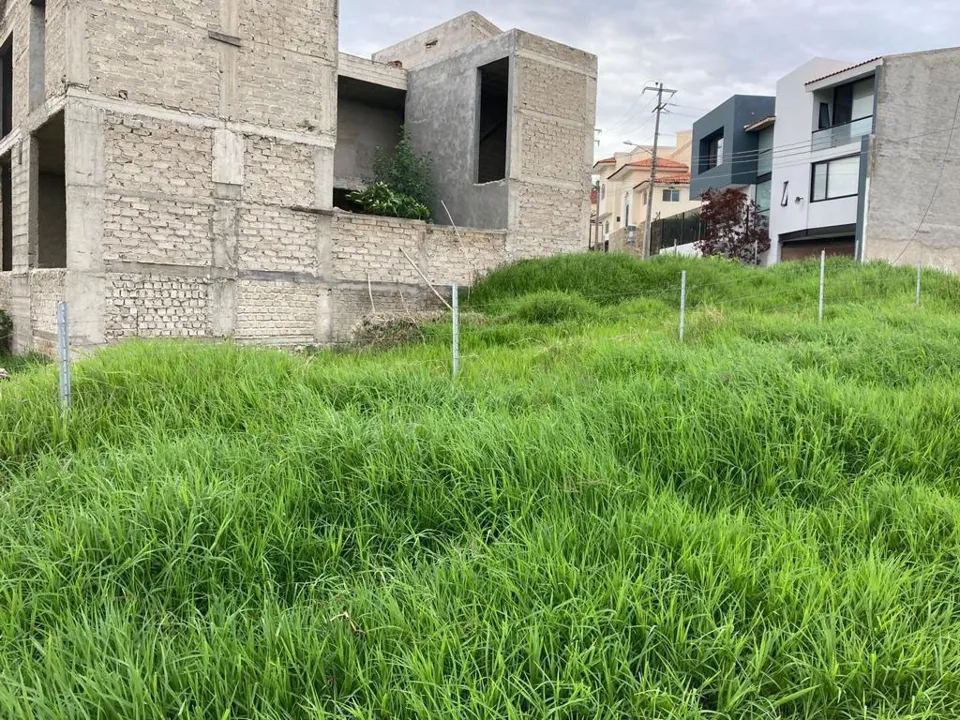 Foto 7 de P.º del Cortijo 170, San Agustín, Tlajomulco de Zúñiga