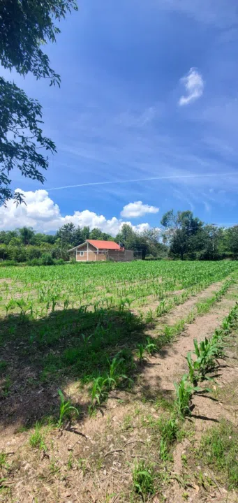 Terreno en Venta cerca de CUTLAJO | Ideal para Casa de Campo