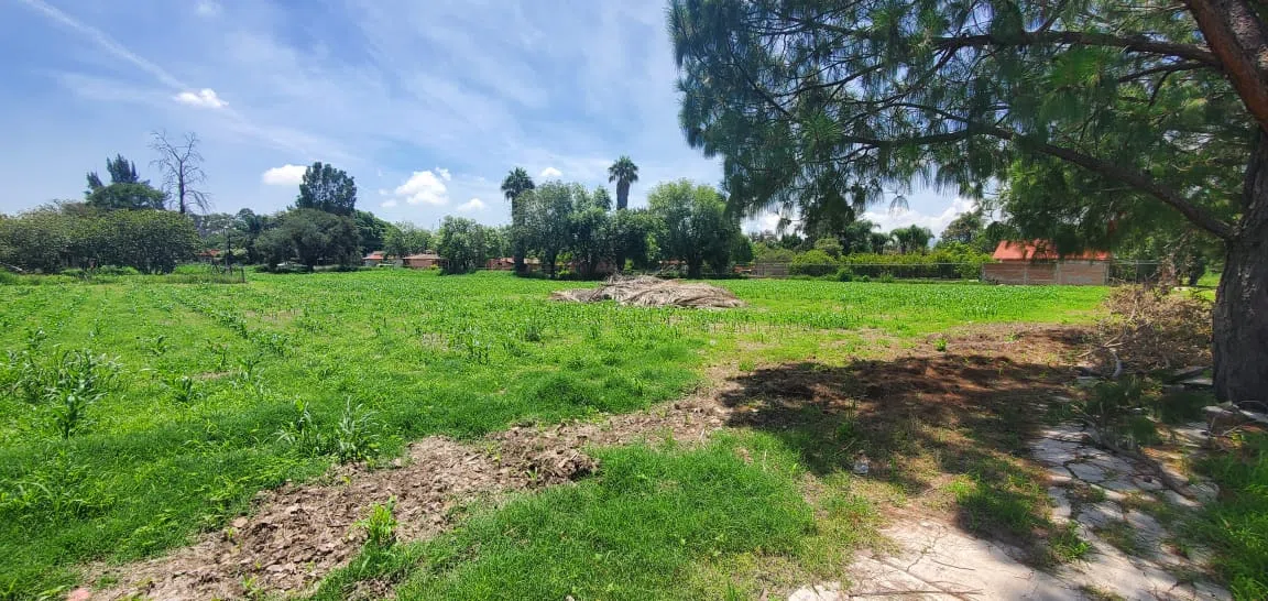 Foto 2 de Terreno en Venta cerca de CUTLAJO | Ideal para Casa de Campo